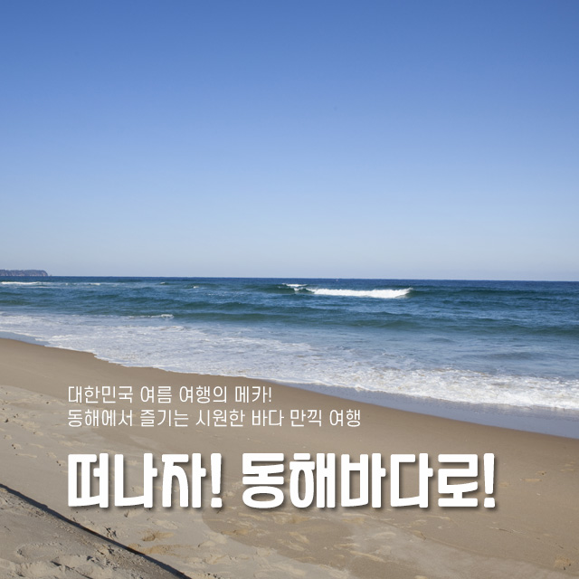 대한민국 여름 여행의 메카!<br>동해에서 즐기는 시원한 바다 만끽 여행