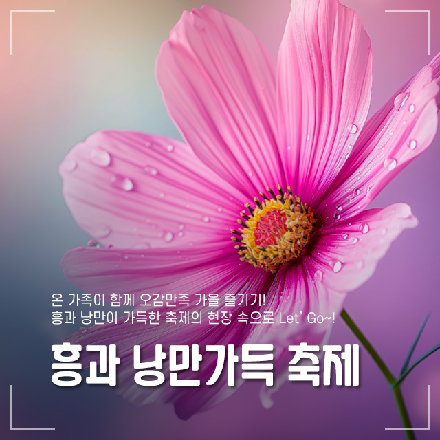 흥과 낭만가득 축제